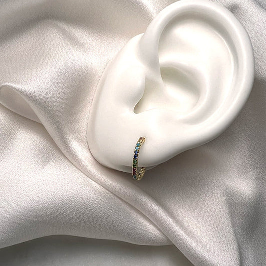 Auskarai UCCELLO COLORATO